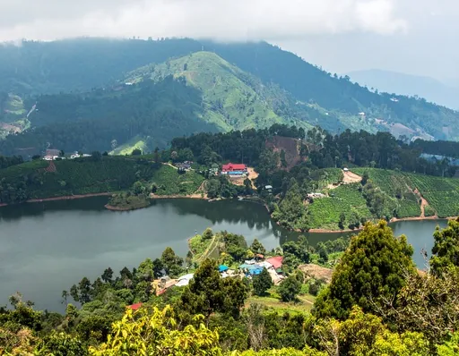 Lake and hills in Yercaud